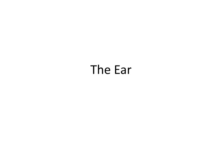 the ear