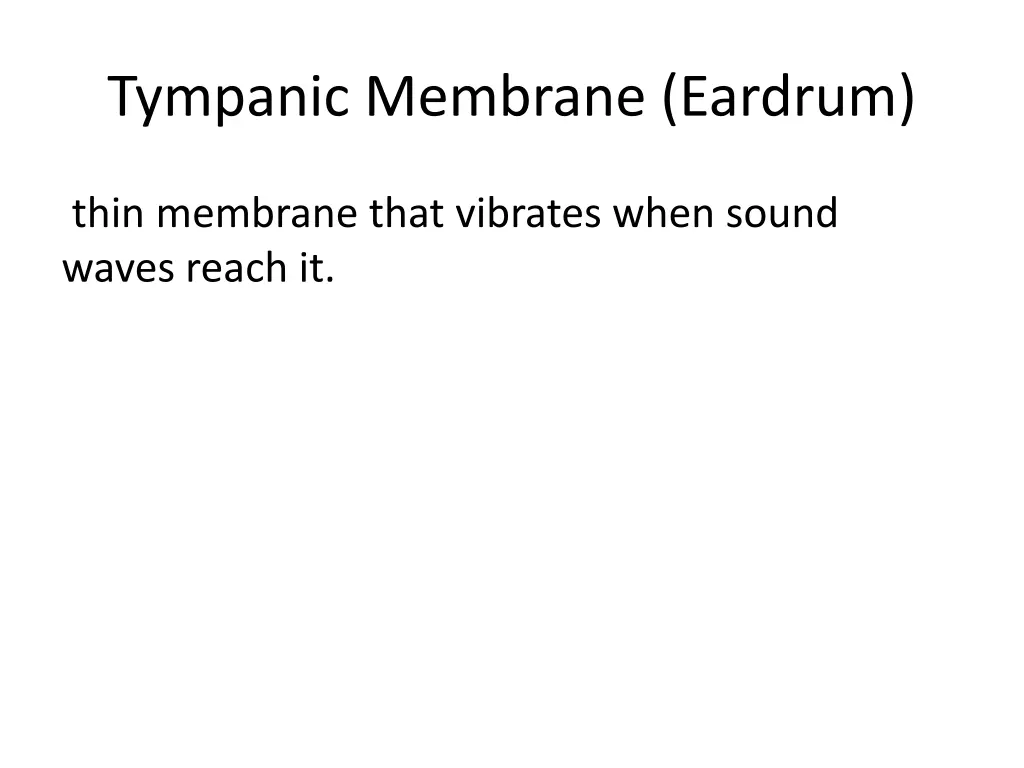 tympanic membrane eardrum