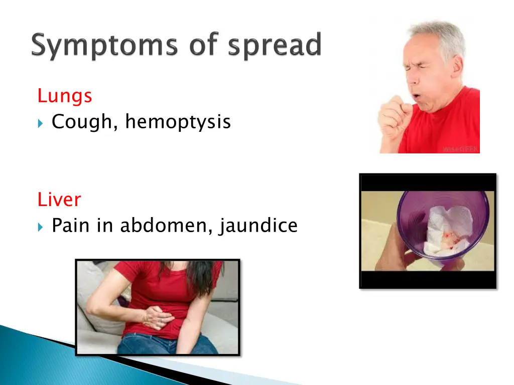 lungs cough hemoptysis