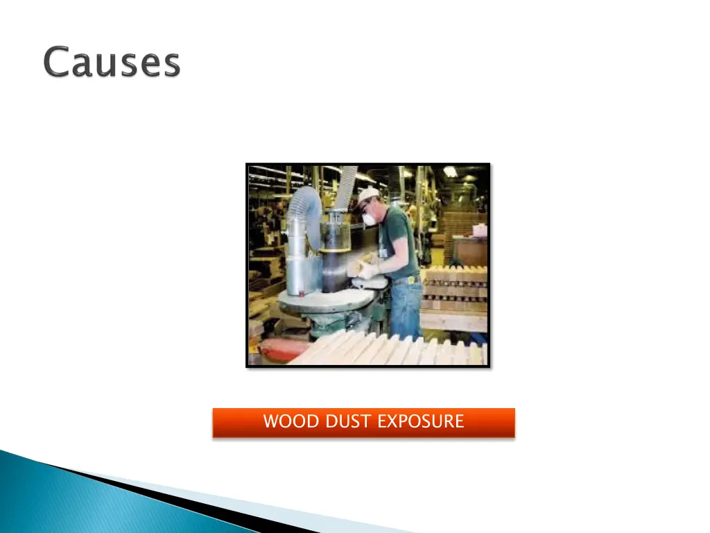 wood dust exposure