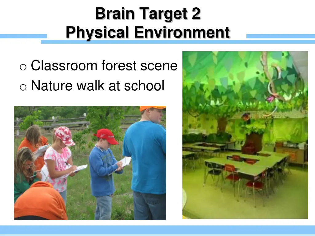 brain target 2 physical environment 1