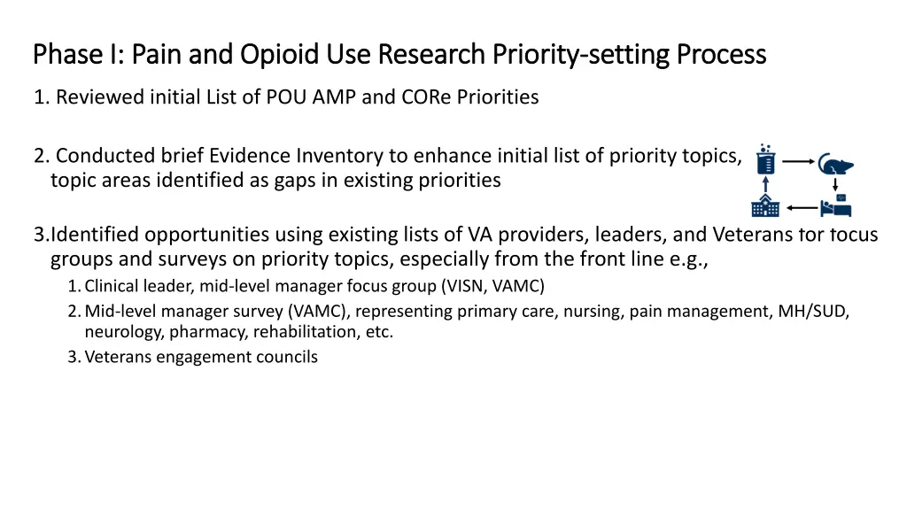 phase i pain and opioid use research priority