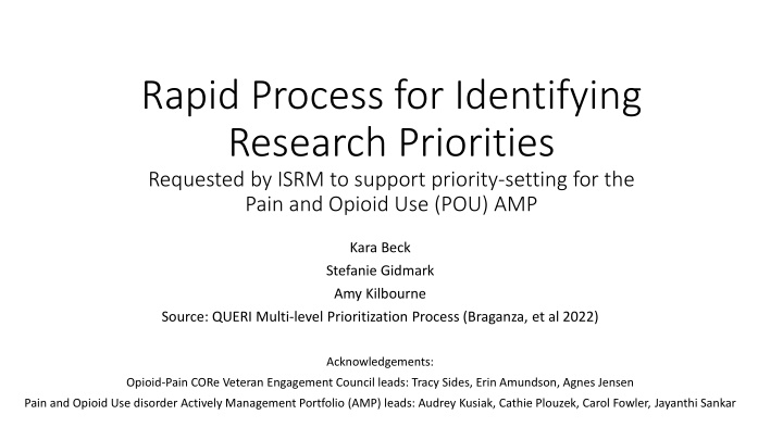 rapid process for identifying research priorities