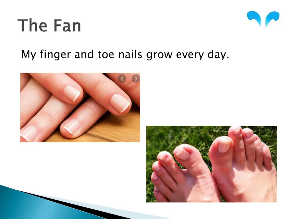 my finger and toe nails grow every day