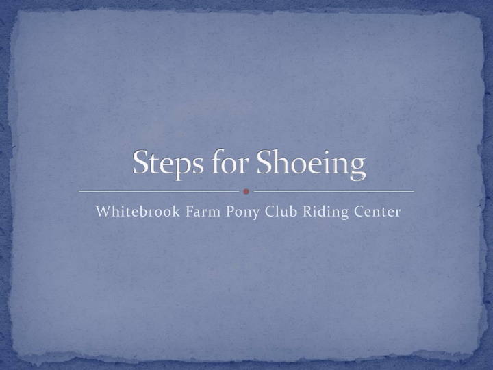 steps for shoeing