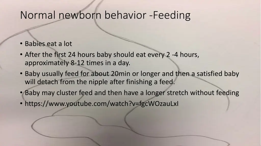 normal newborn behavior feeding