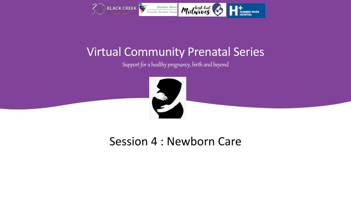 virtual community prenatal series support