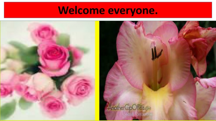 welcome everyone