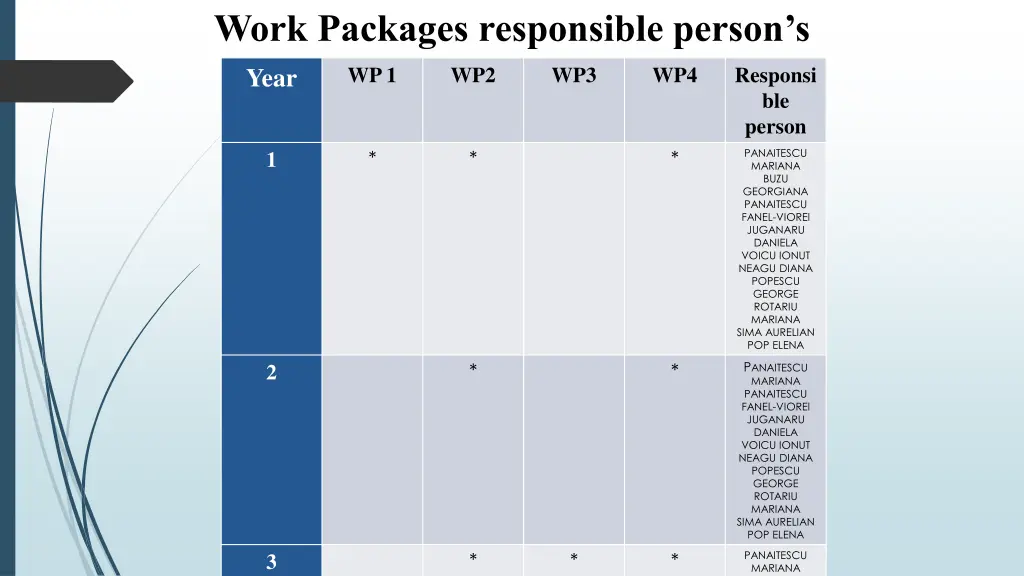 work packages responsible person s