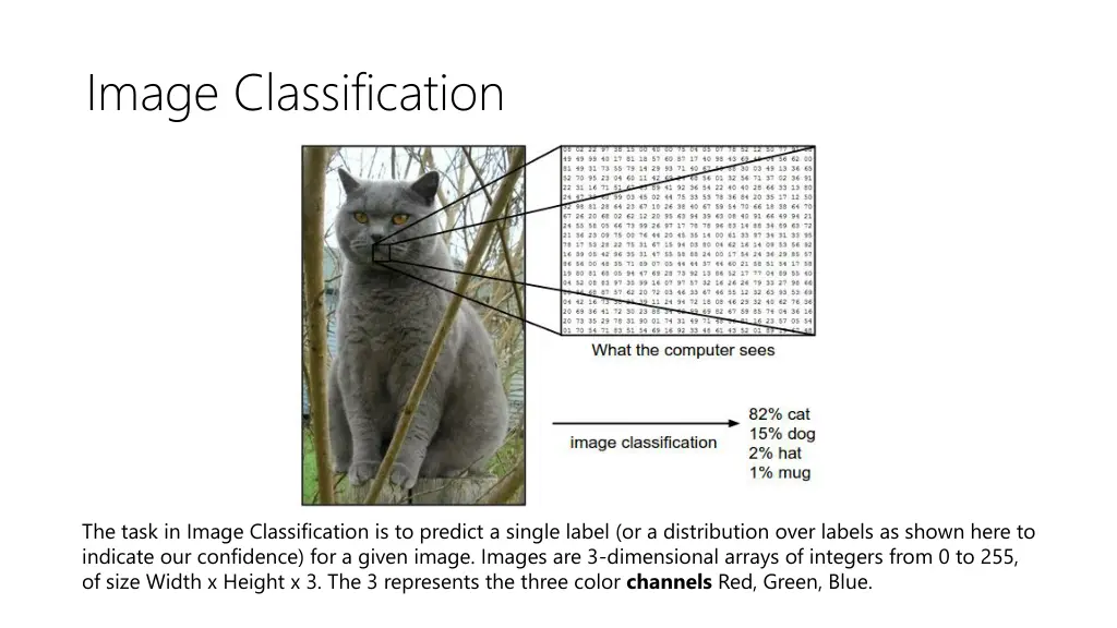 image classification