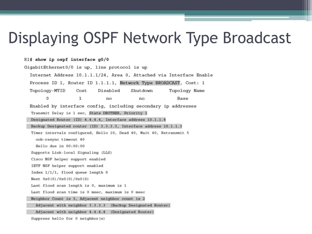 displaying ospf network type broadcast