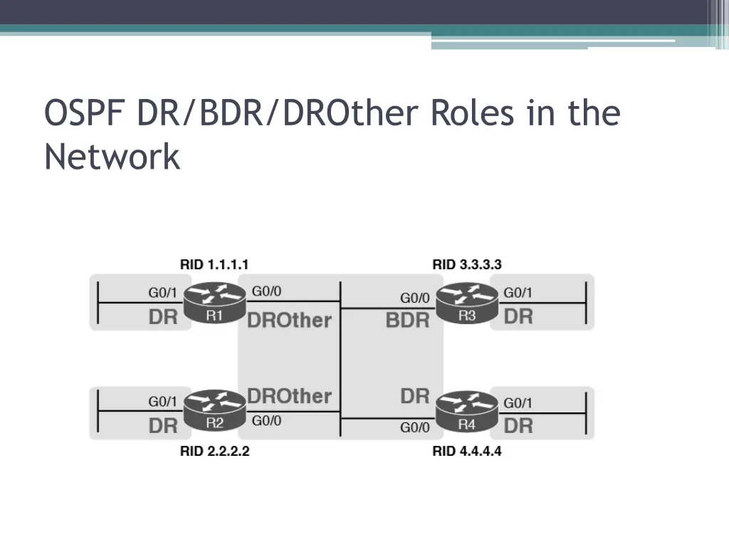 ospf dr bdr drother roles in the network