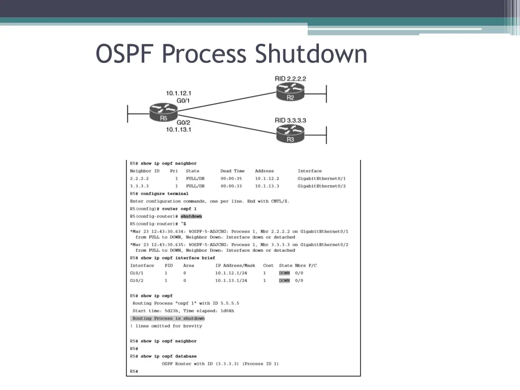 ospf process shutdown