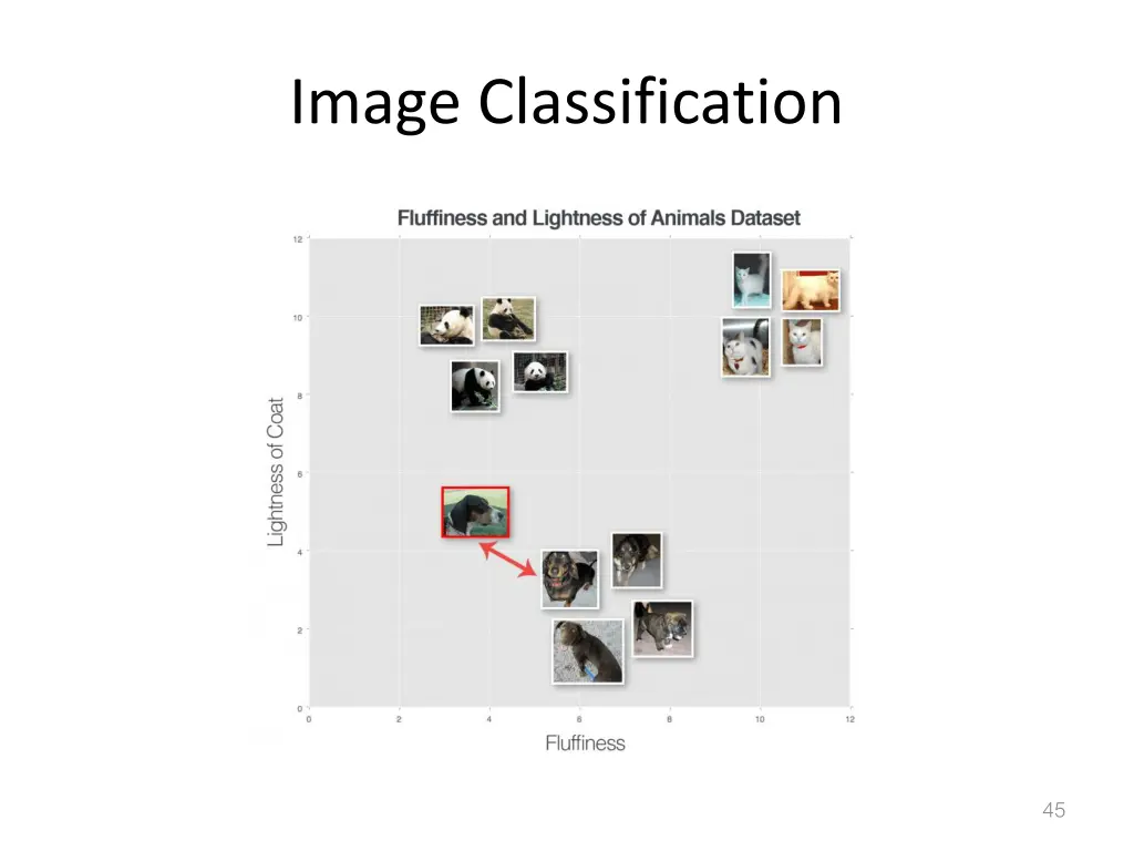 image classification