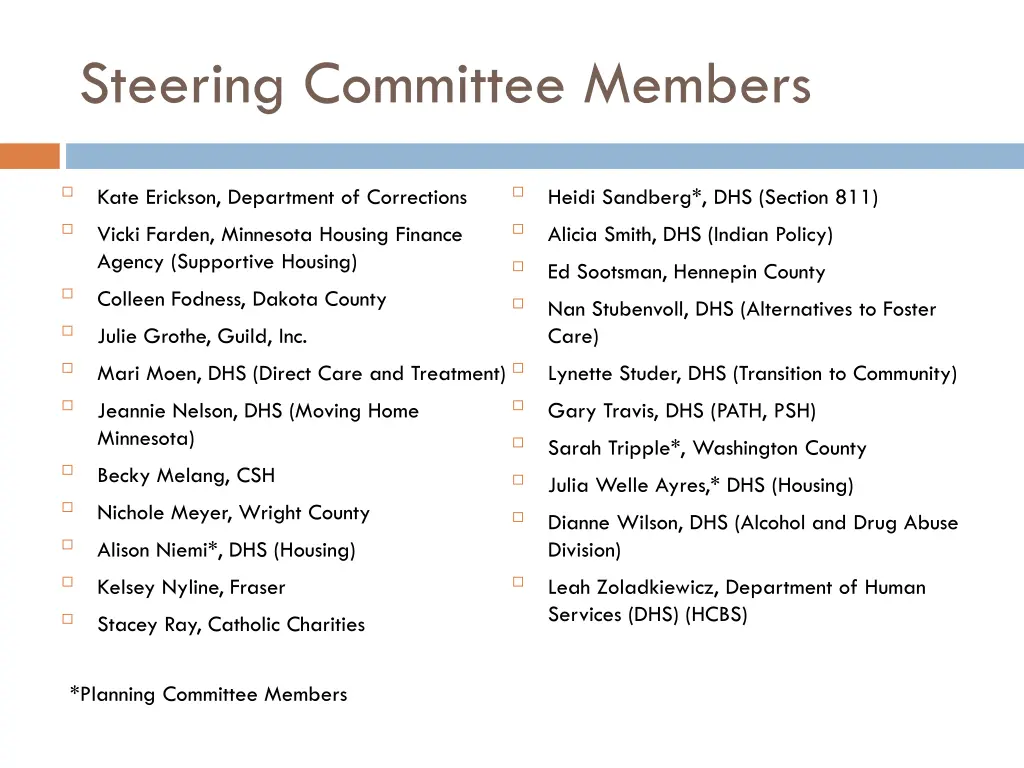 steering committee members