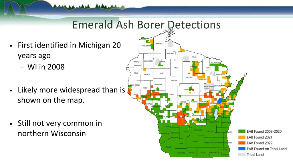 emerald ash borer detections