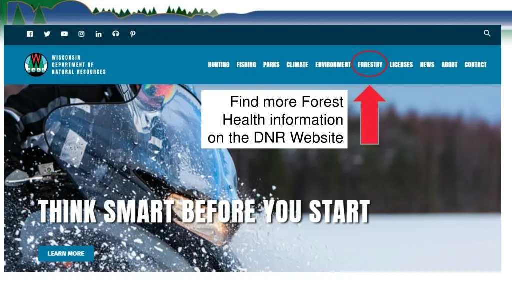 find more forest health information