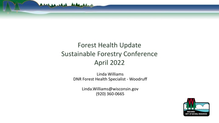 forest health update sustainable forestry