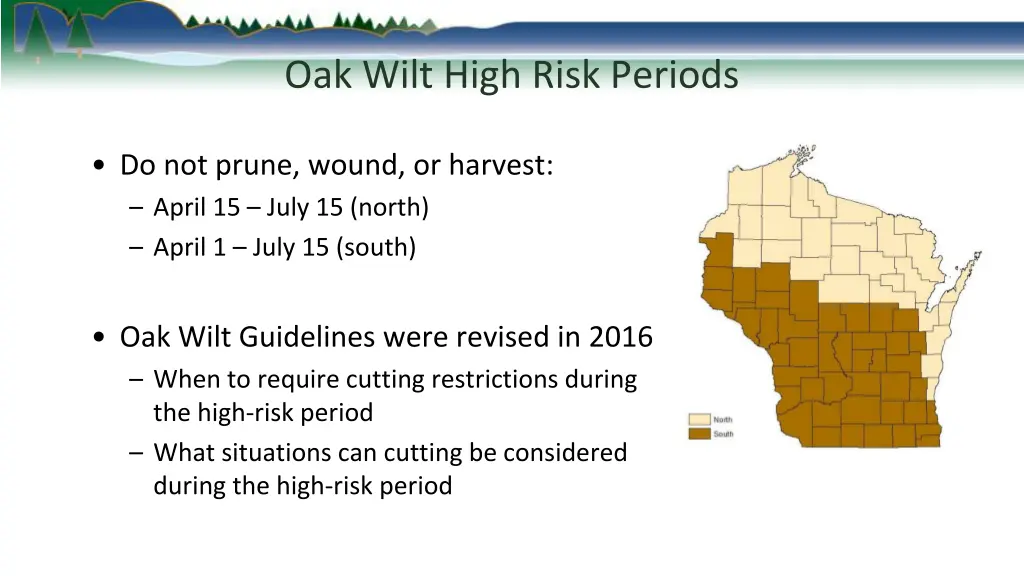 oak wilt high risk periods