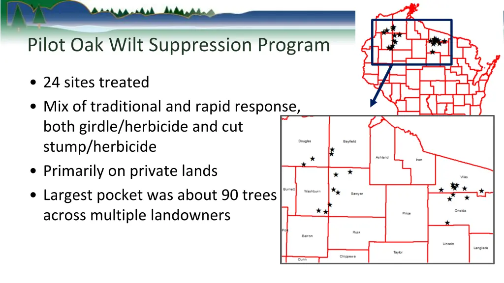 pilot oak wilt suppression program