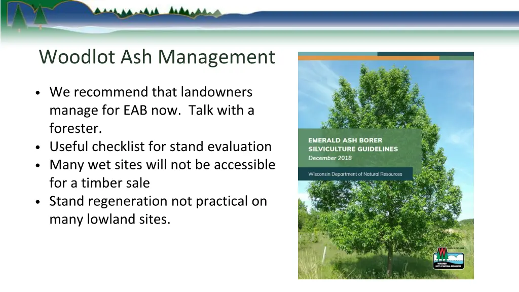 woodlot ash management