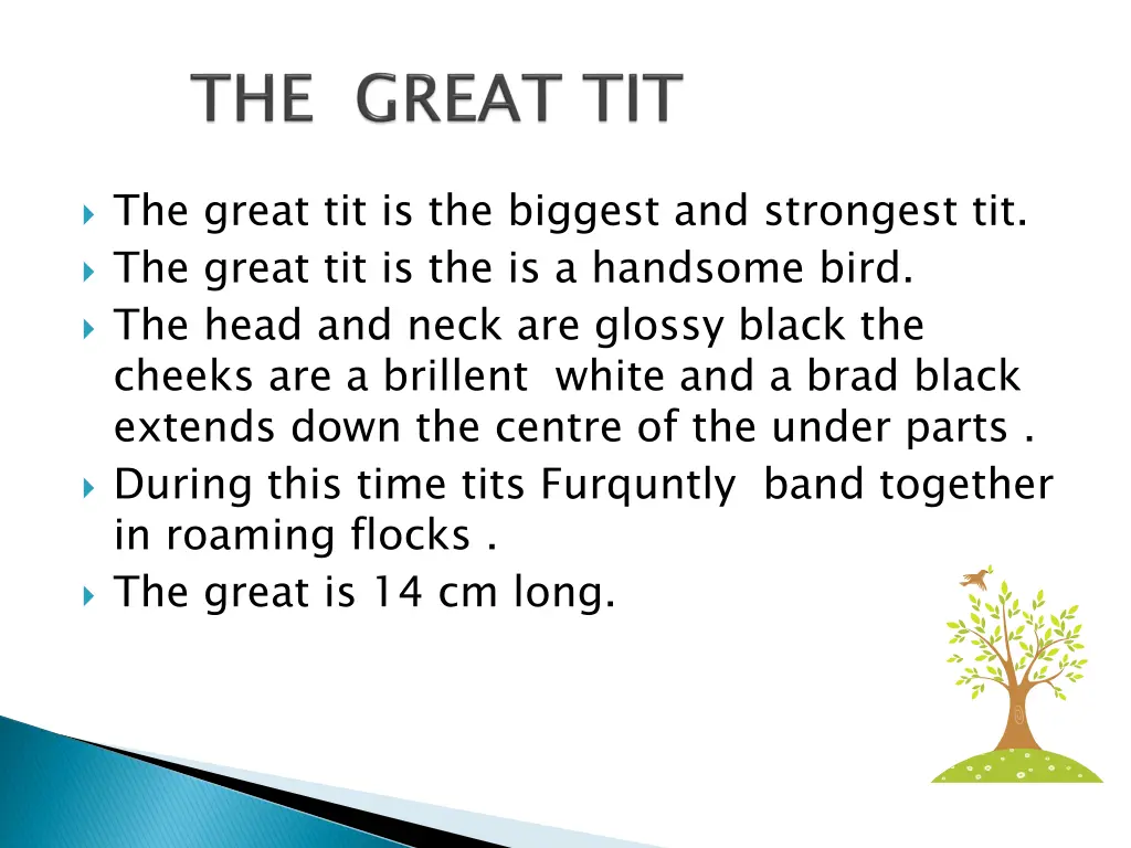 the great tit is the biggest and strongest