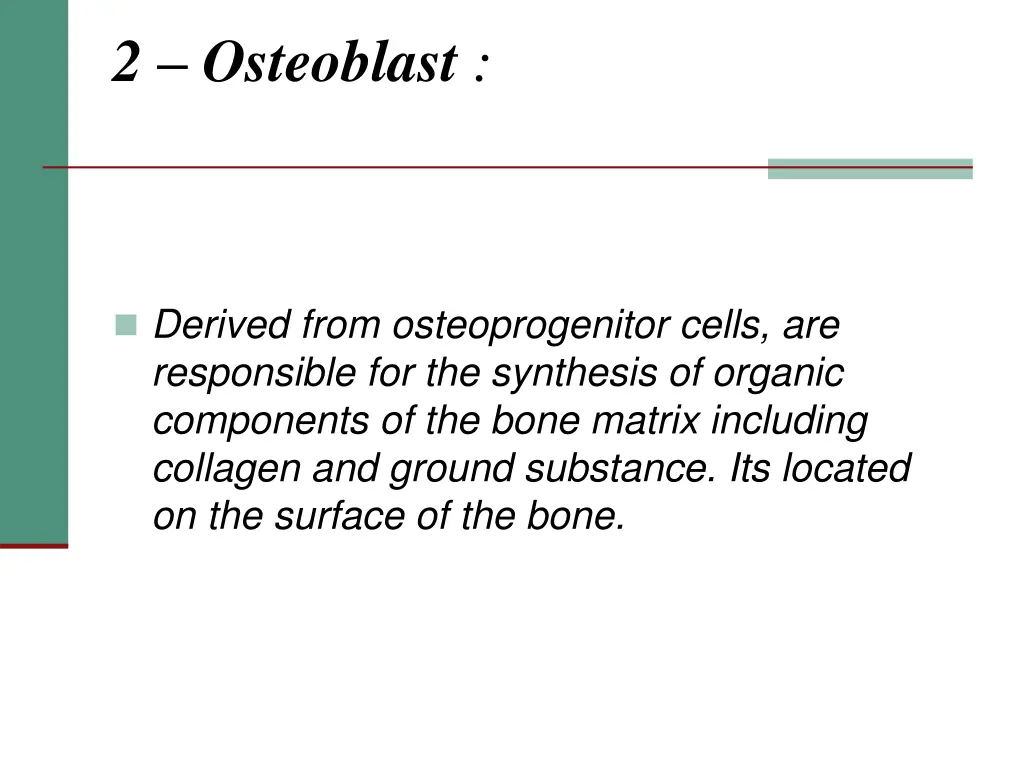 2 osteoblast