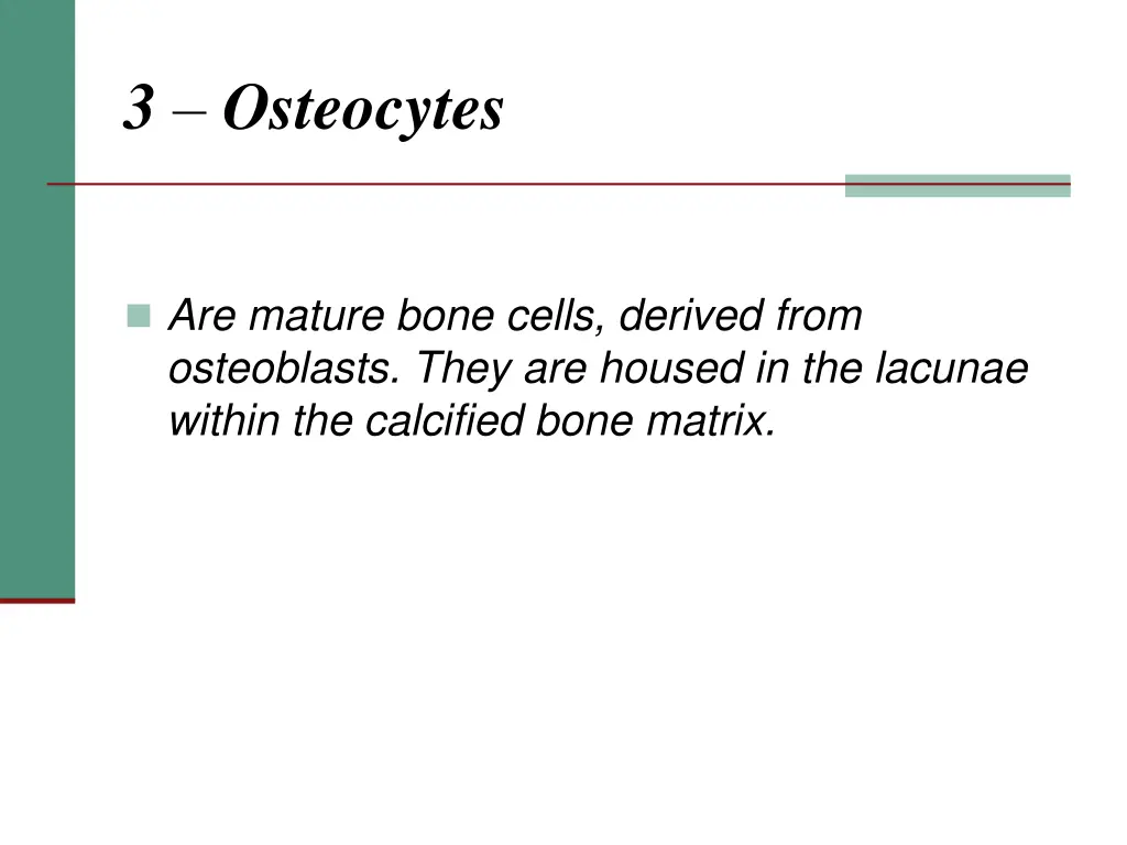 3 osteocytes