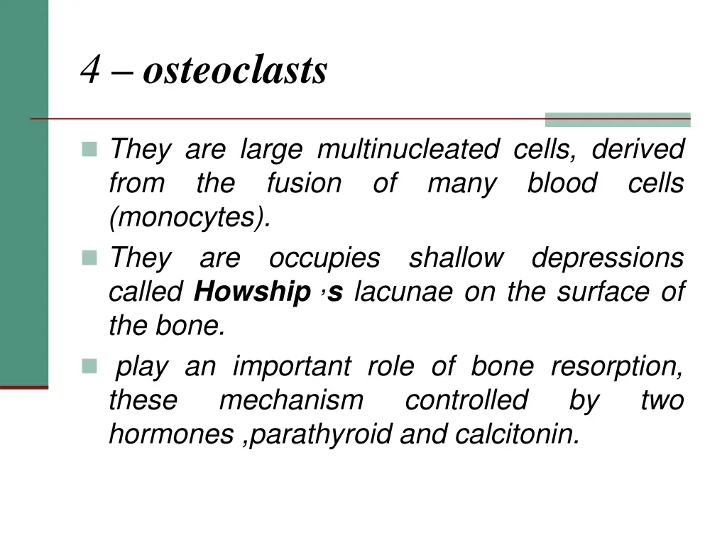 4 osteoclasts