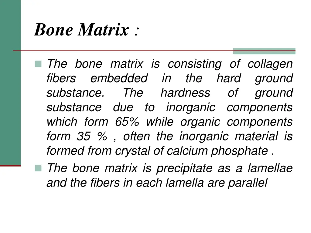 bone matrix