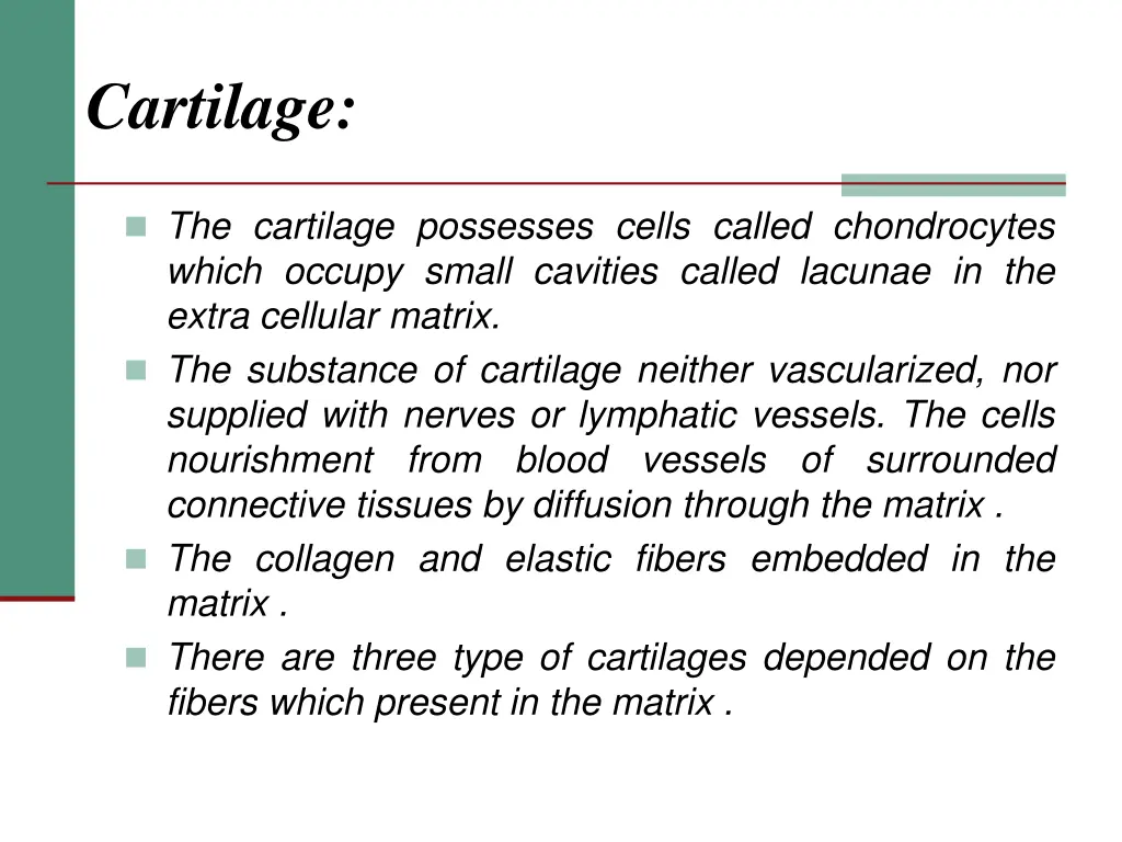 cartilage