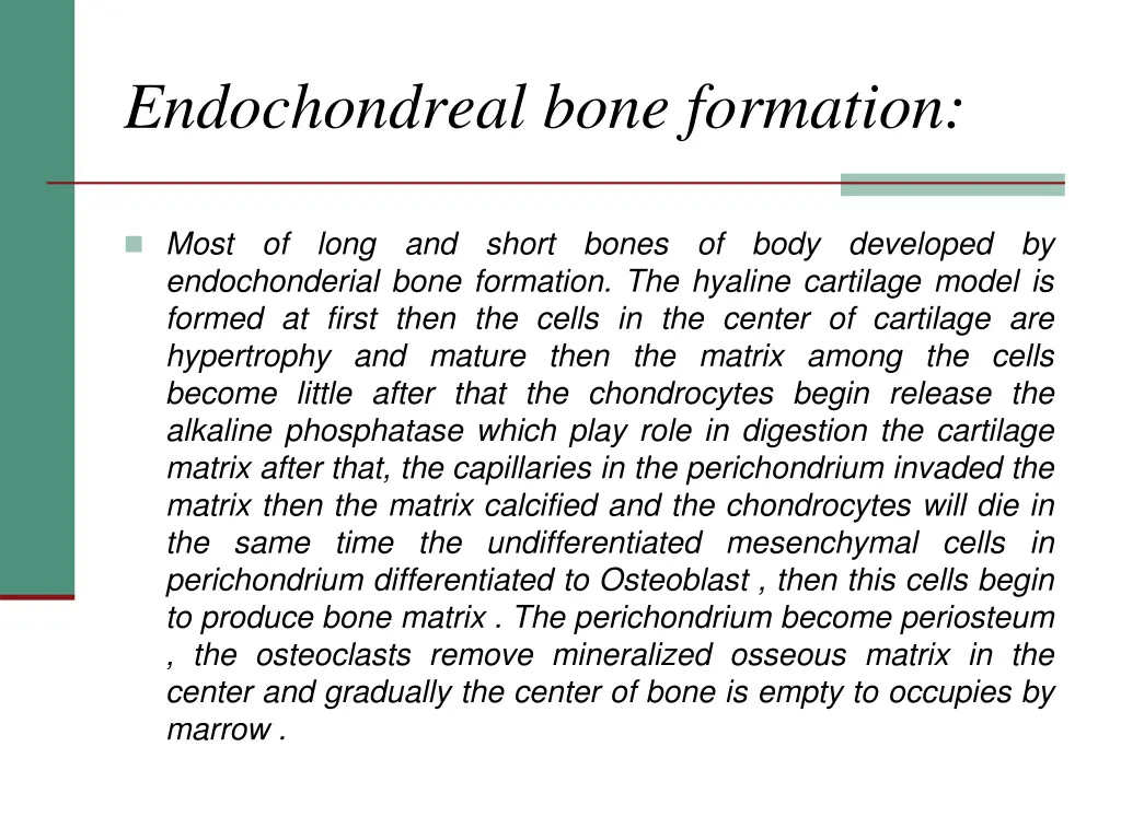 endochondreal bone formation