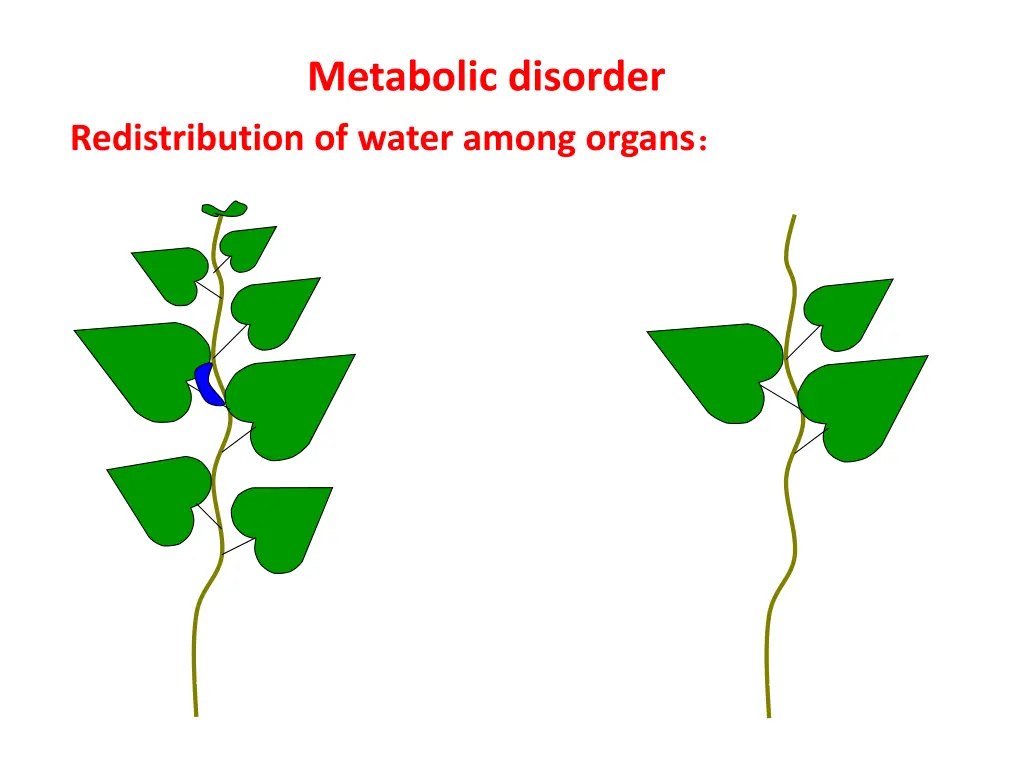 metabolic disorder