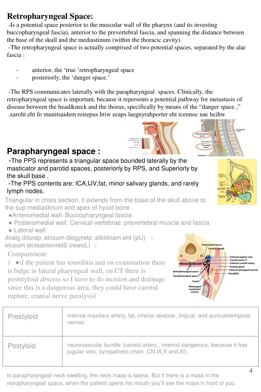 retropharyngeal space is a potential space