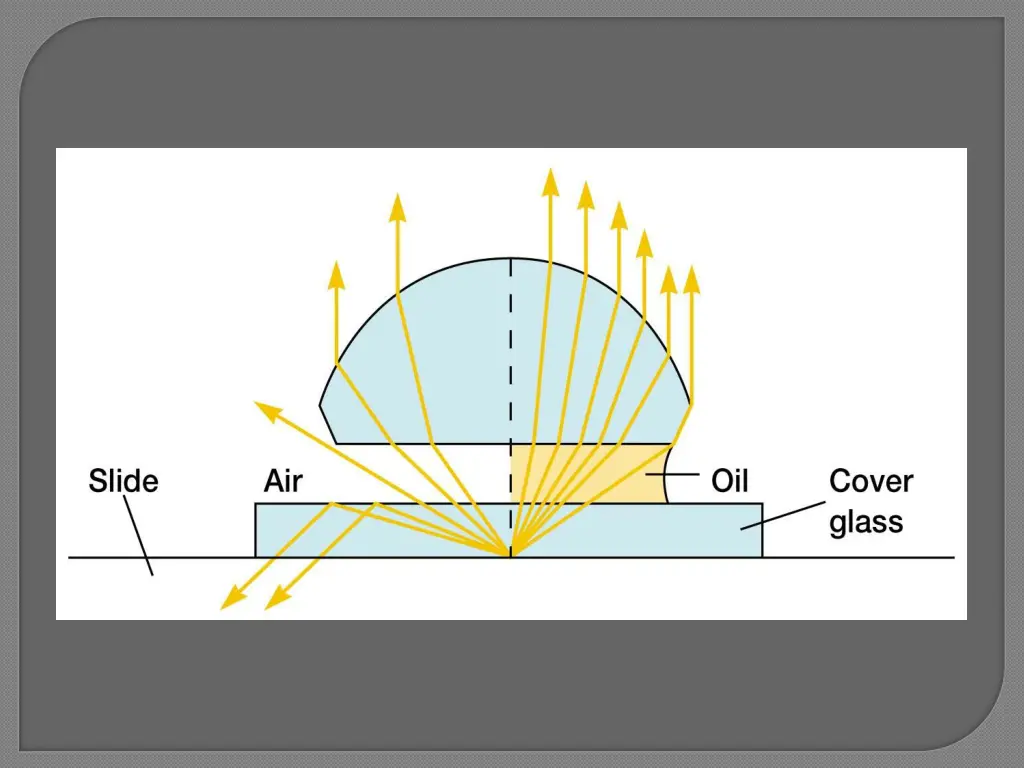 slide15