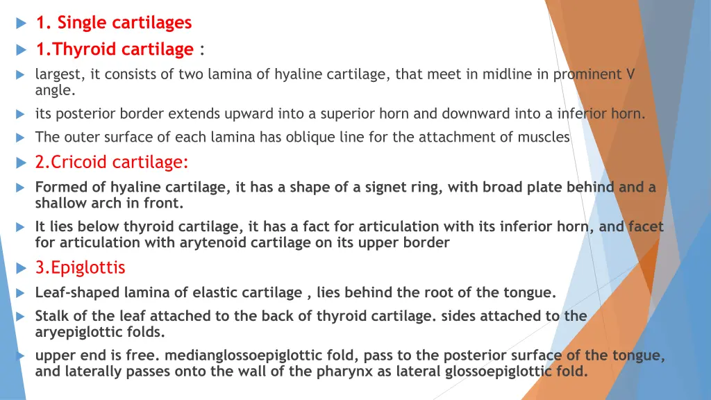 1 single cartilages 1 thyroid cartilage