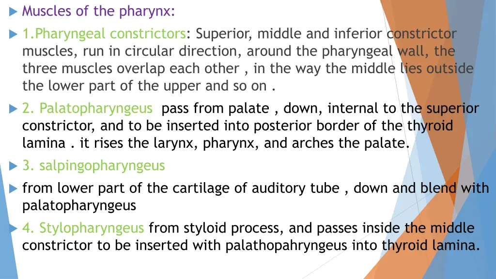 muscles of the pharynx