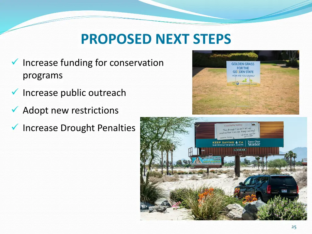 proposed next steps