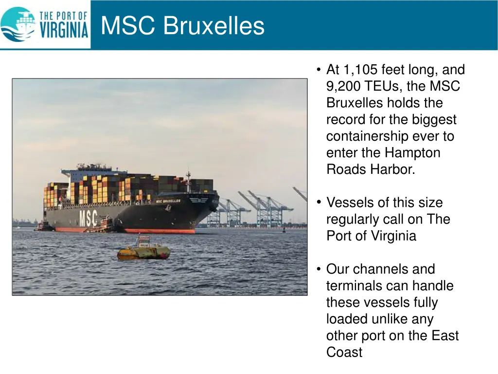 msc bruxelles