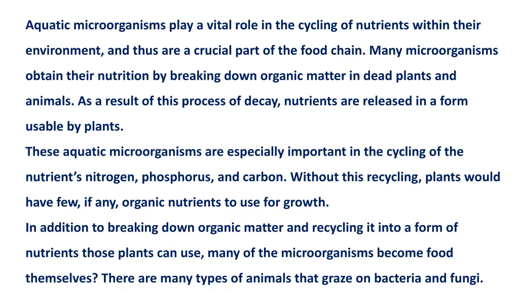 aquatic microorganisms play a vital role