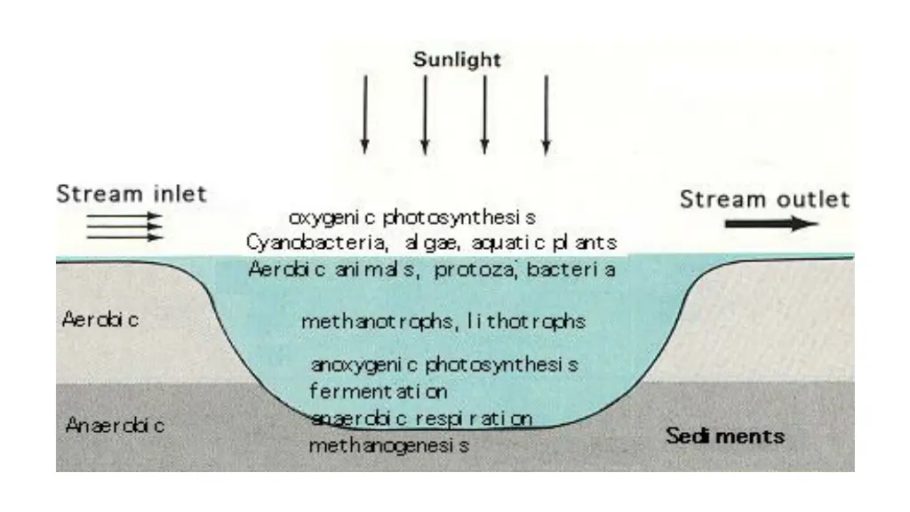 slide19