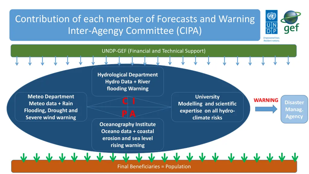 contribution of each member of forecasts