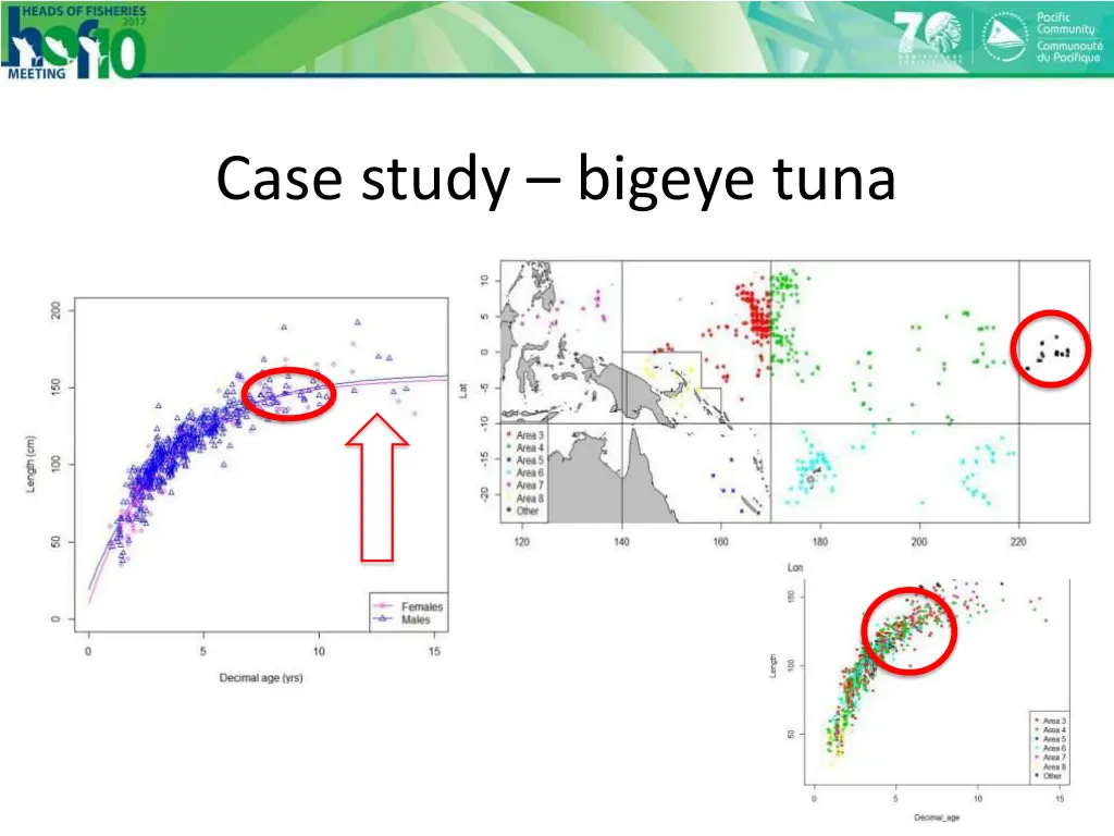 case study bigeye tuna 1