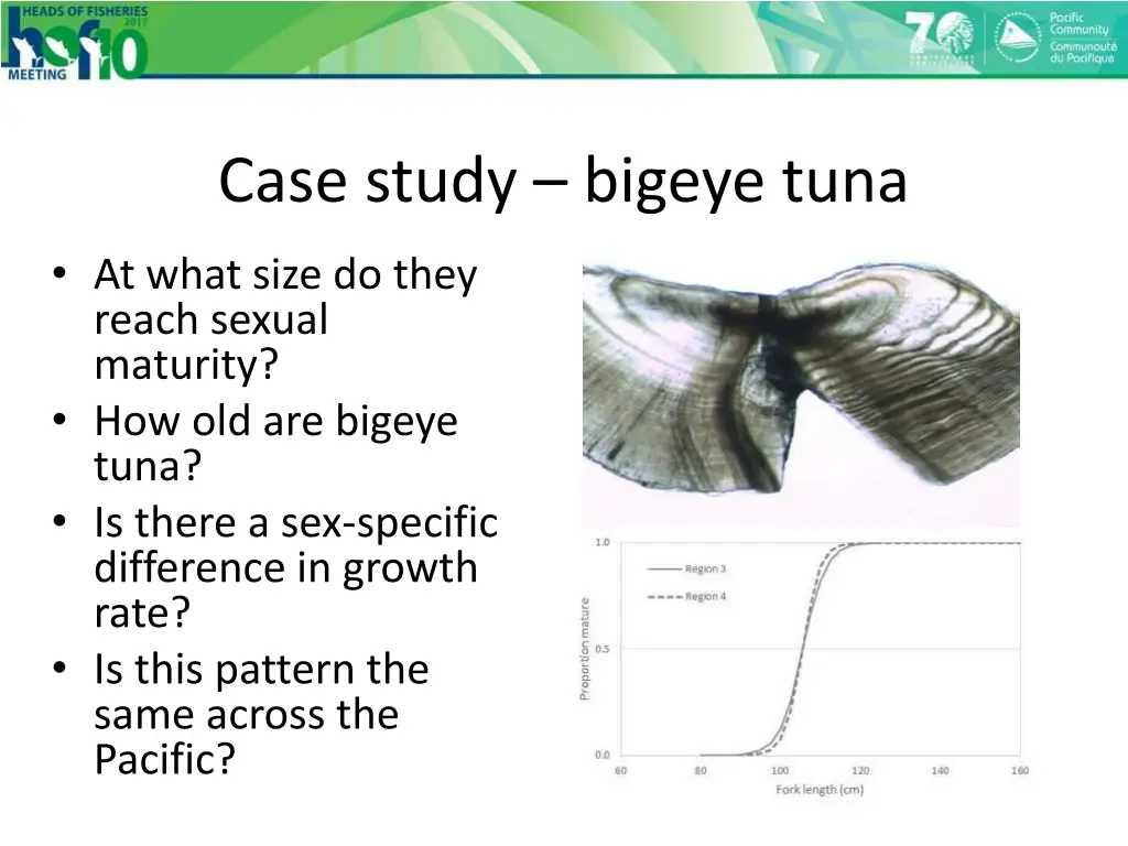 case study bigeye tuna