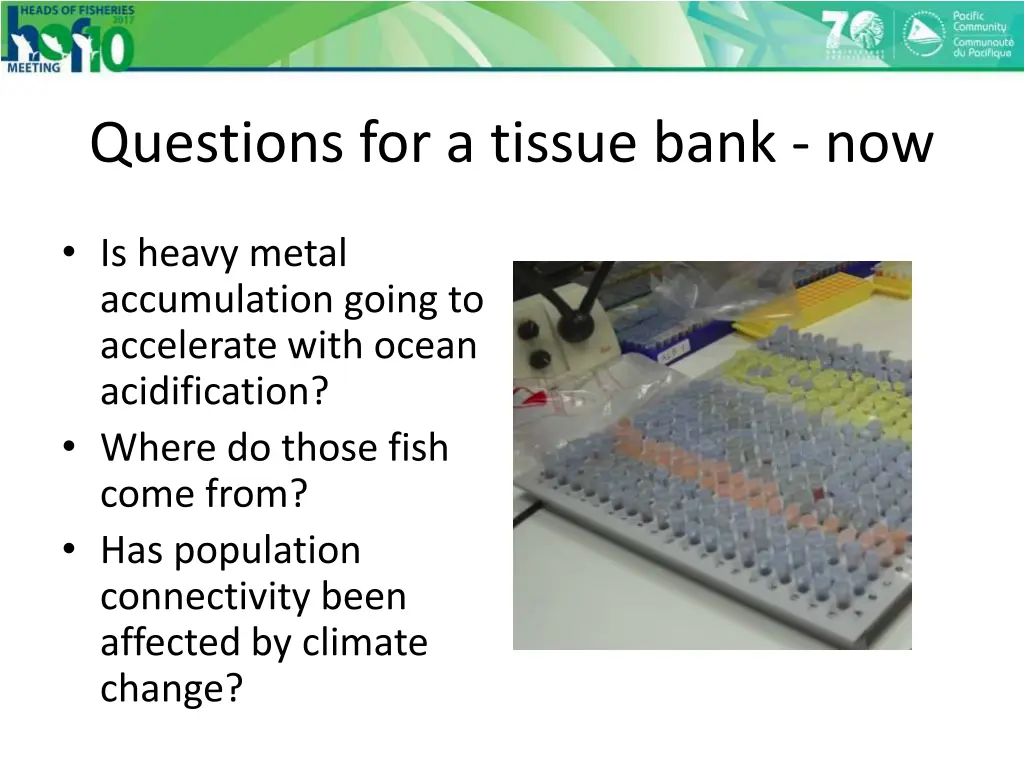 questions for a tissue bank now