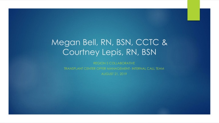 megan bell rn bsn cctc courtney lepis rn bsn