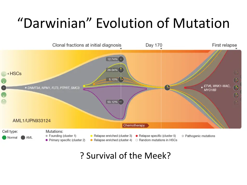 darwinian evolution of mutation