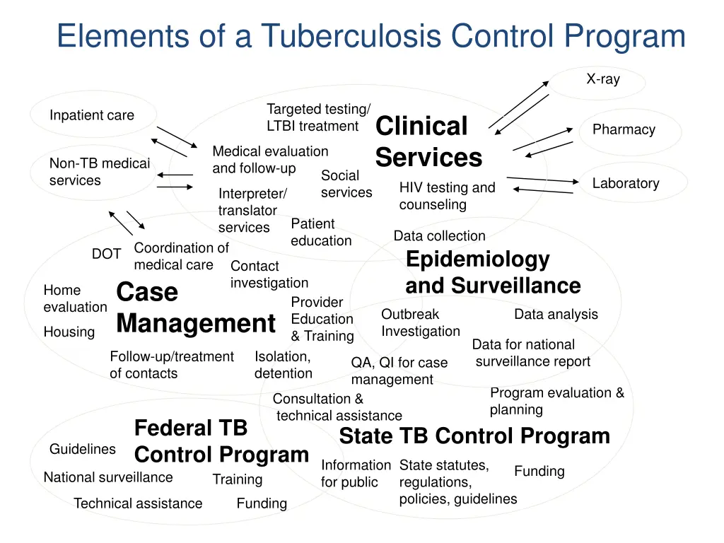 elements of a tuberculosis control program