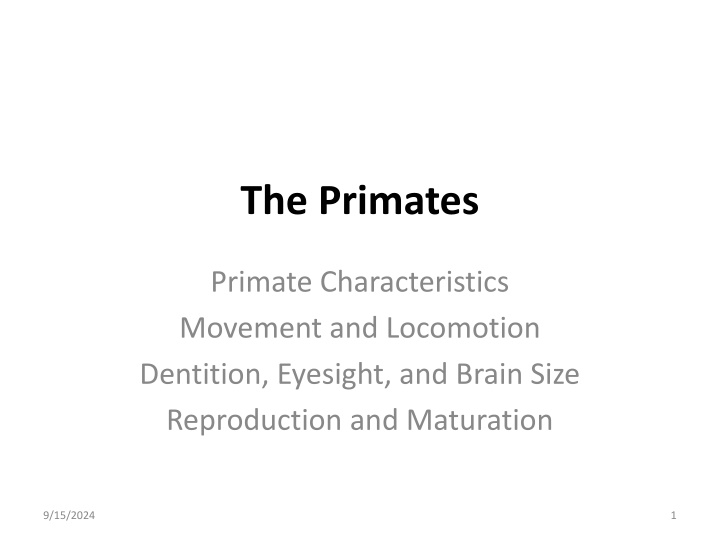 the primates