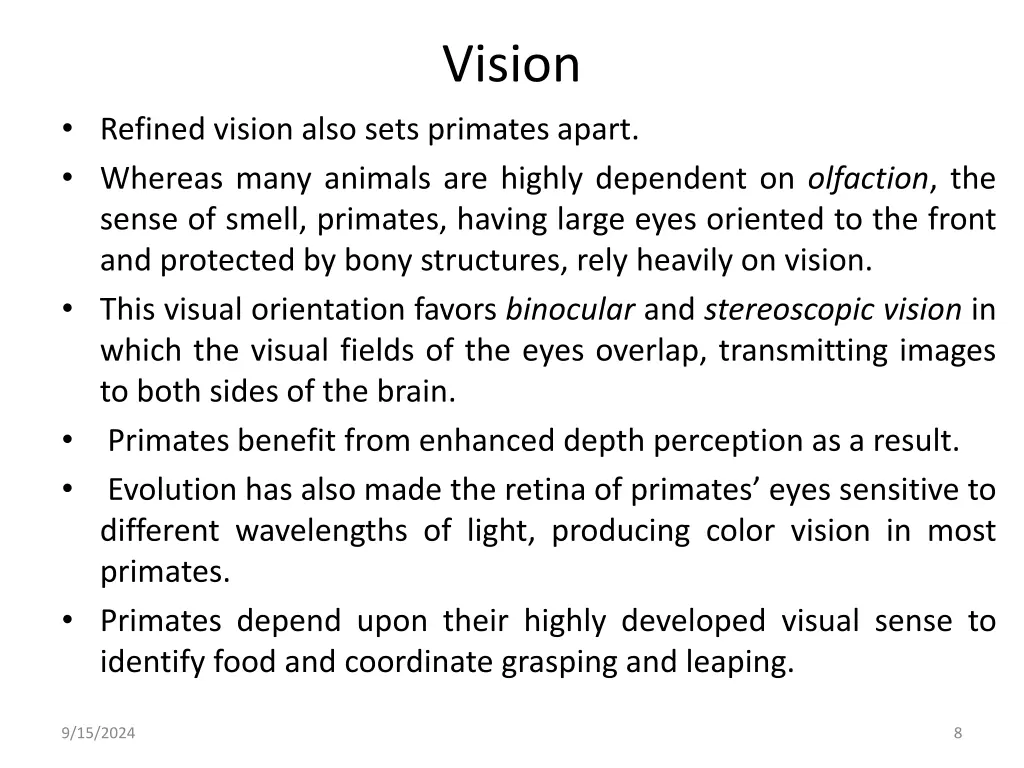 vision